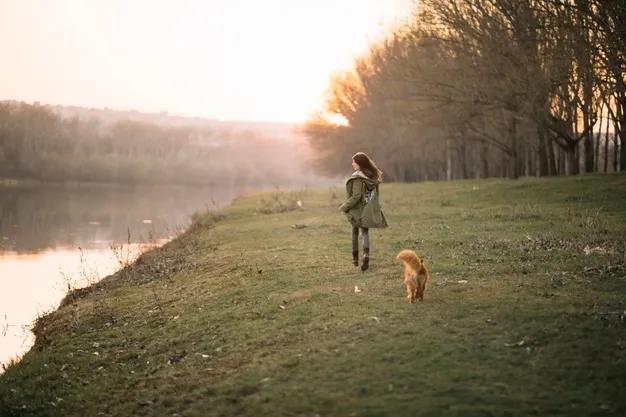 Kantoorhond tijdens wandeling in de pauze
