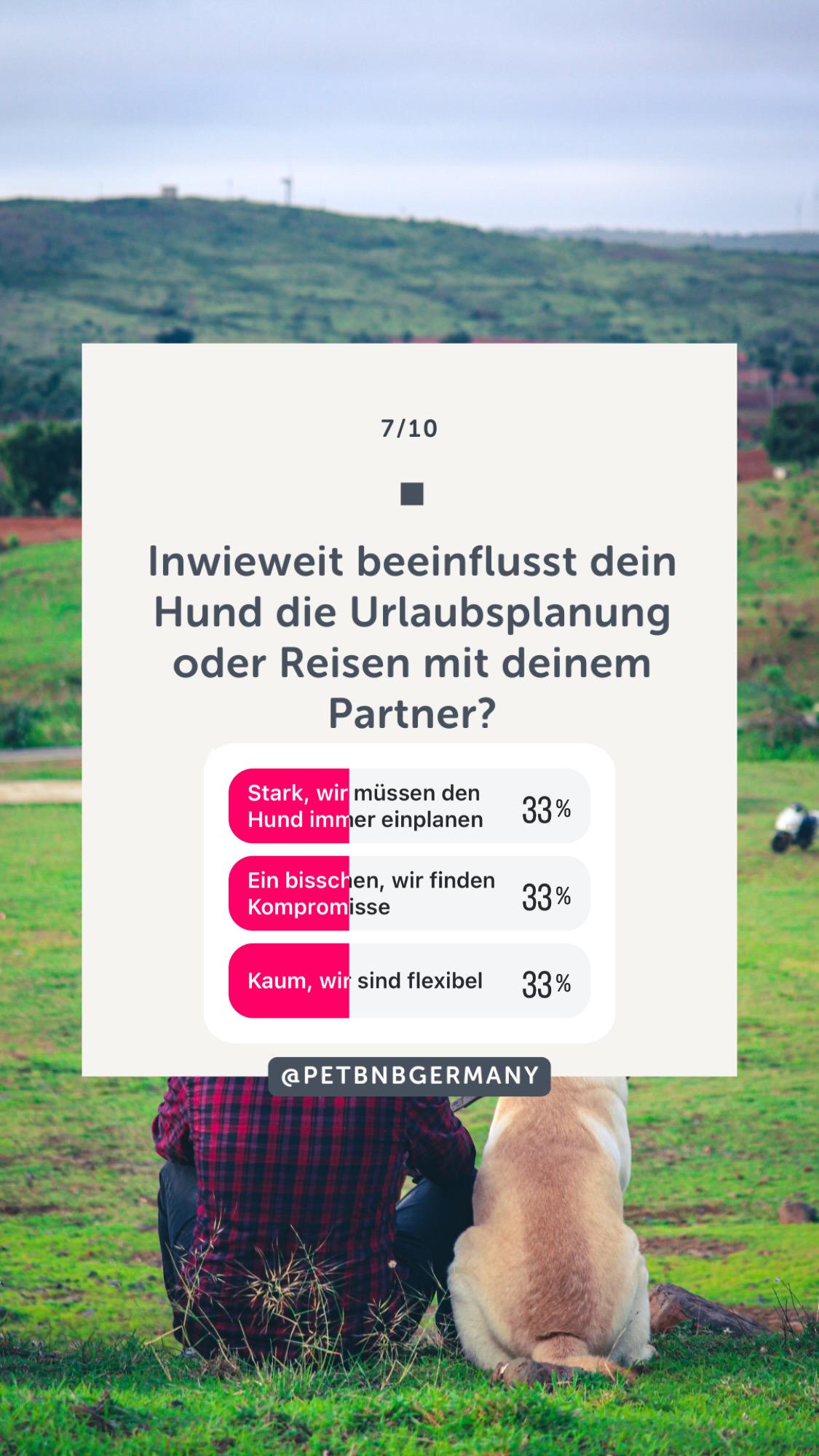 Wie Hunde unsere Partnerschaften beeinflussen