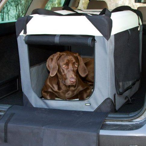 Hond ontspannen in reismand