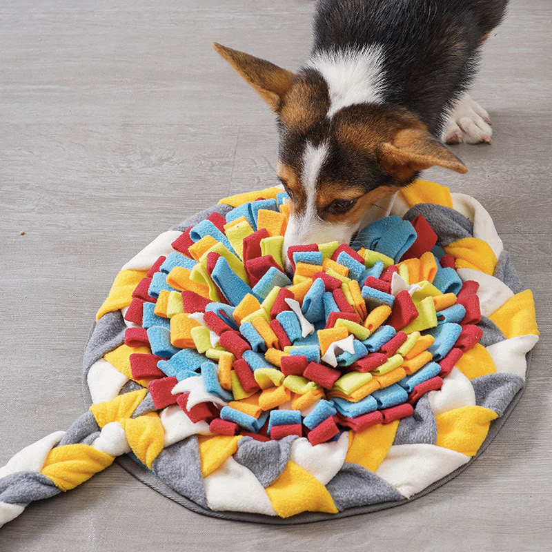 Hond of kat pakt kerstcadeau uit