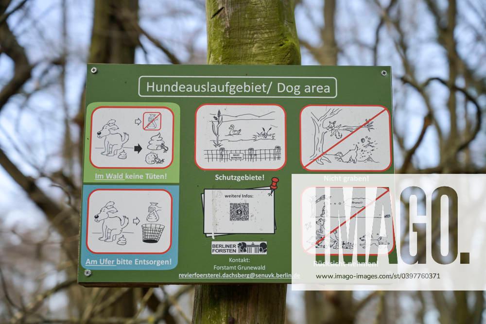 Der Berlin-Guide für dich und deinen Hund