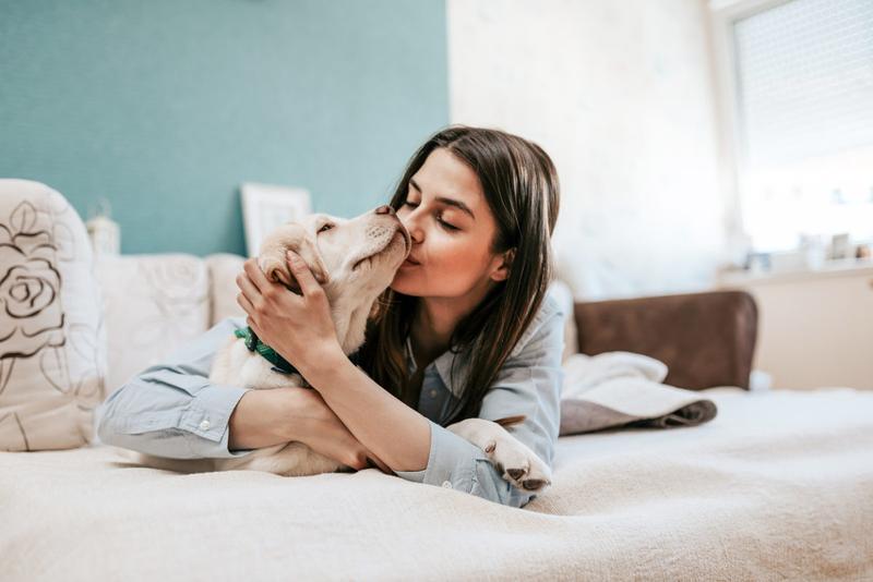 5 manieren om jouw hond te vertellen dat je van hem houdt