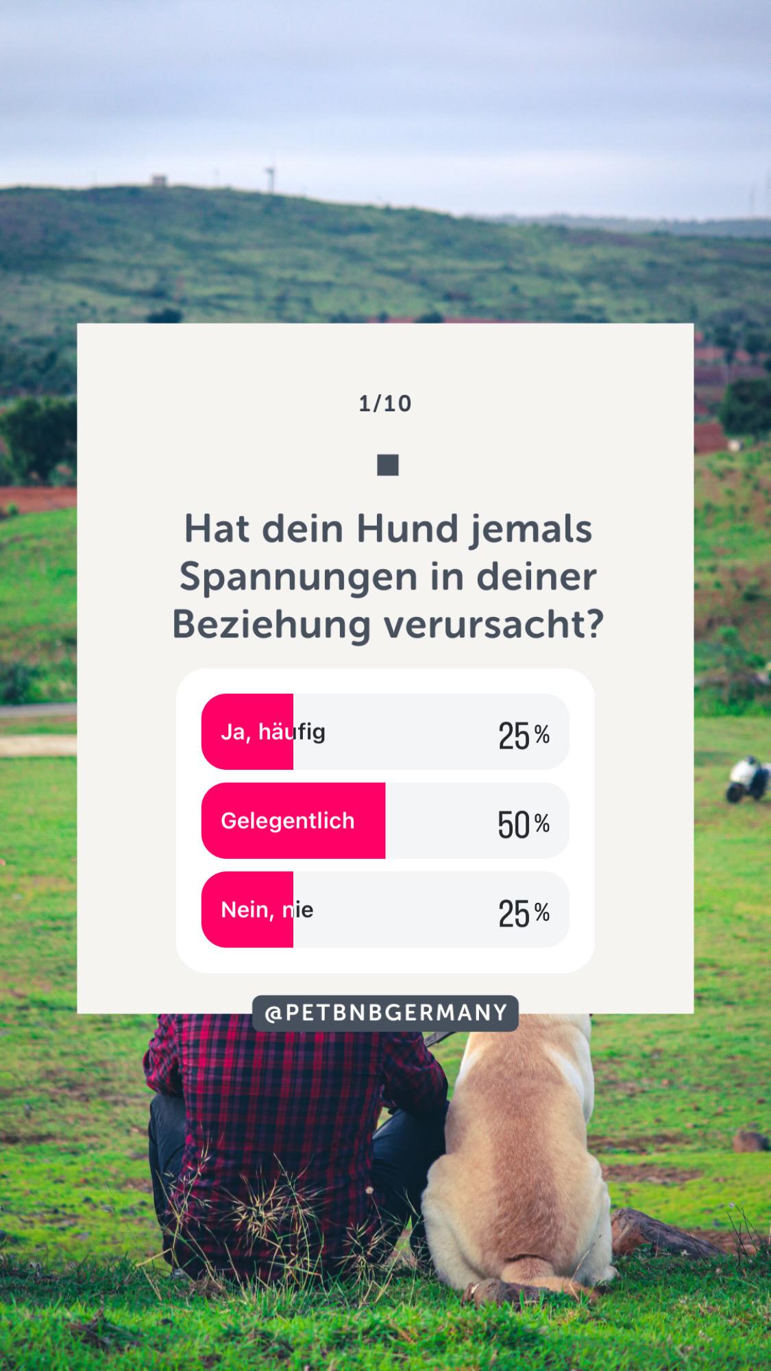 Wie Hunde unsere Partnerschaften beeinflussen