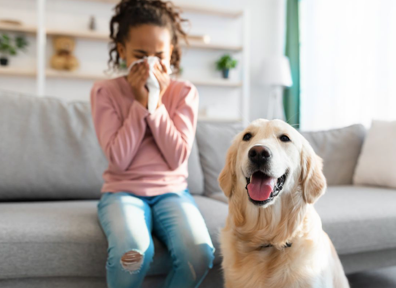 Ben ik allergisch voor honden of katten?