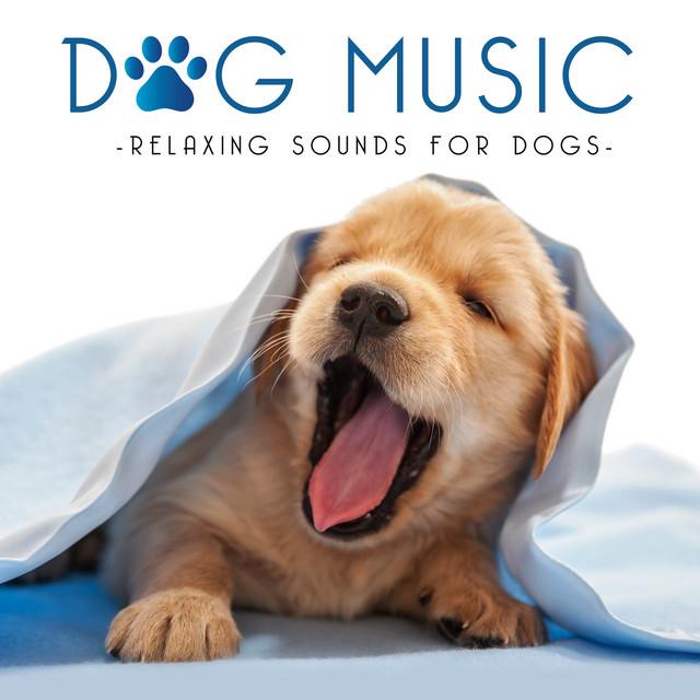 Rustige muziek voor honden en katten