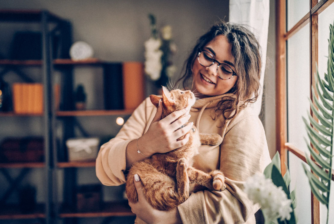 Kattenoppas verzorgt kat aan huis