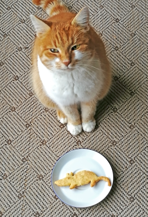 pindakaas-pompoen koekjes voor honden
