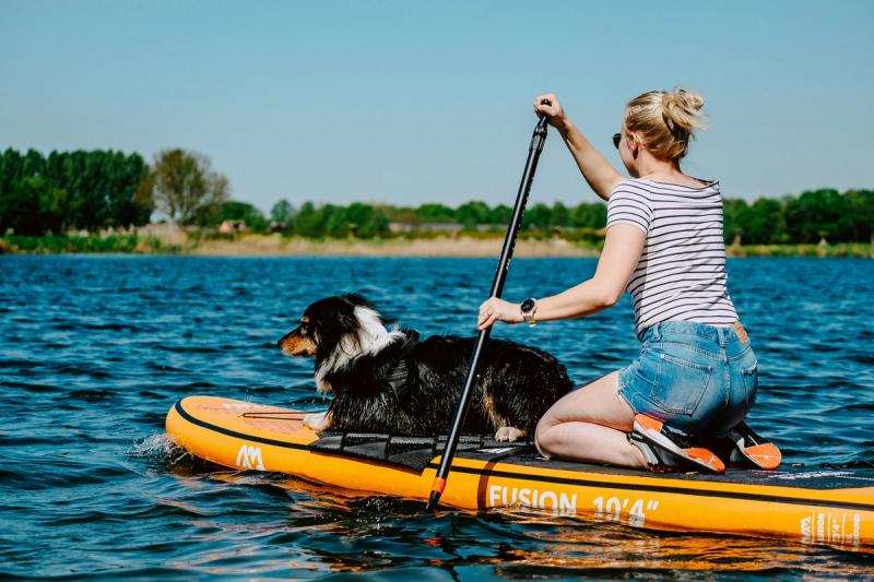 10 ultieme vakantie activiteiten om te doen met jouw (oppas)hond
