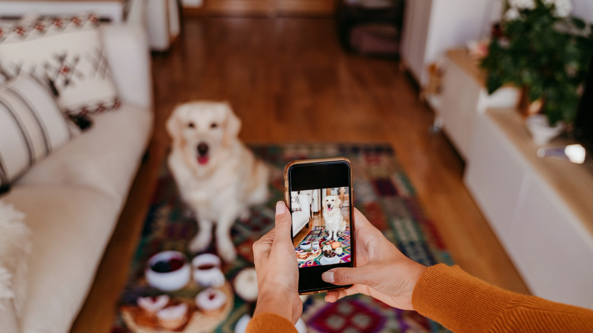 Oppas in spontane interactie met een hond