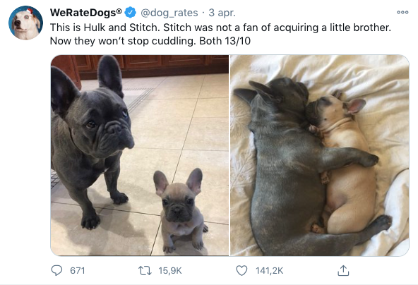 Pups die knuffelen