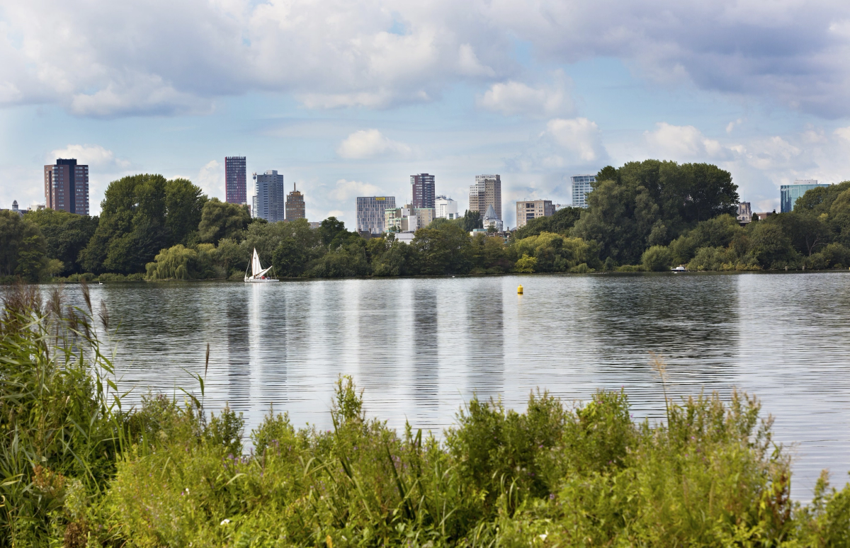 Hond aan het meer in het Kralingse Bos Rotterdam