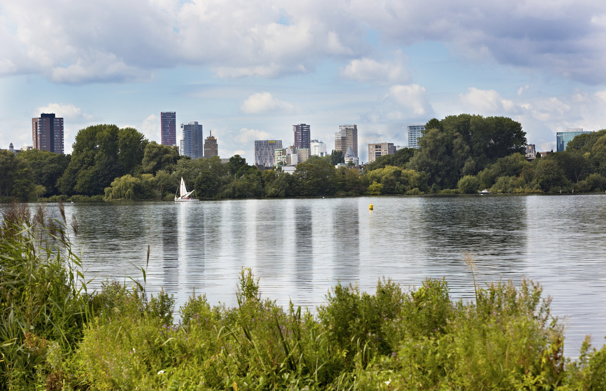 Hond aan het meer in het Kralingse Bos Rotterdam