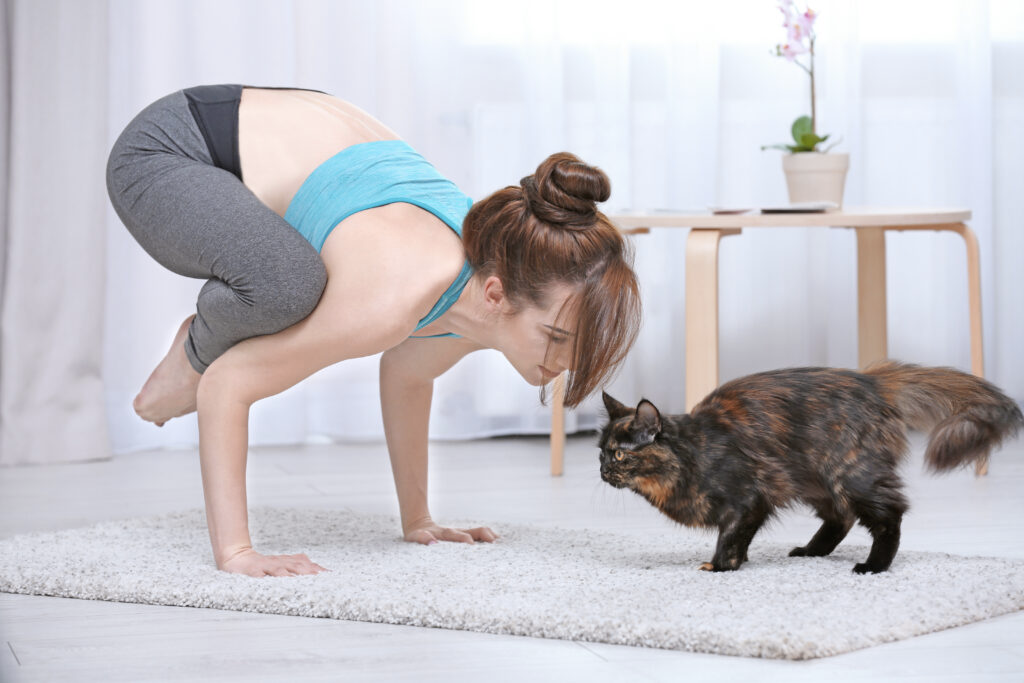 Ontspannen yogamoment met huisdier