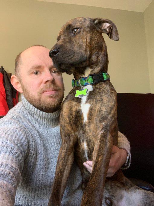 Hond showt nieuwe riem in videocall