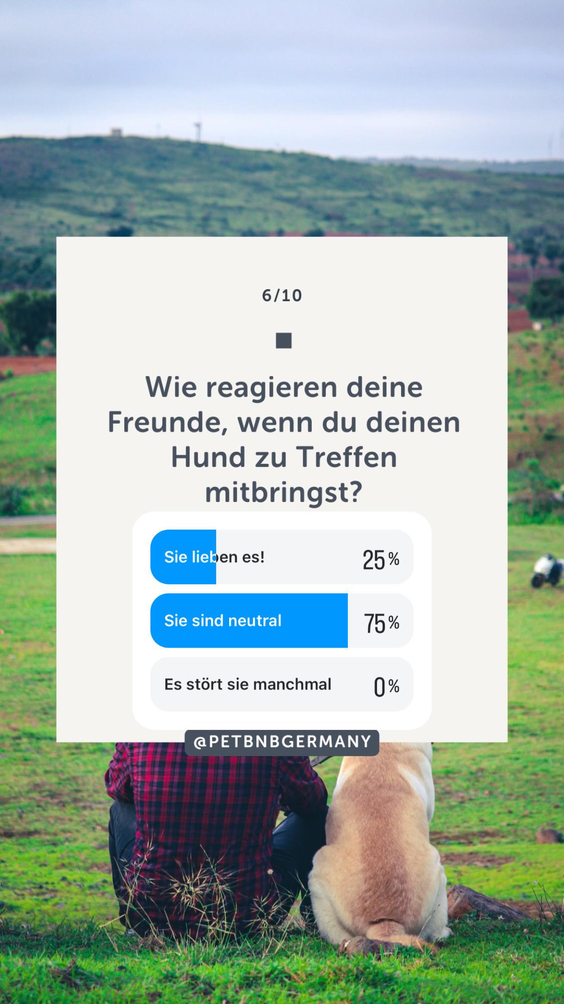 Wie Hunde unsere Partnerschaften beeinflussen