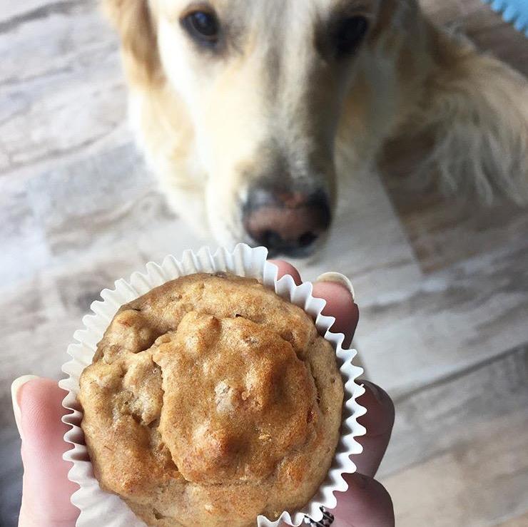 Hondenmuffins bakken