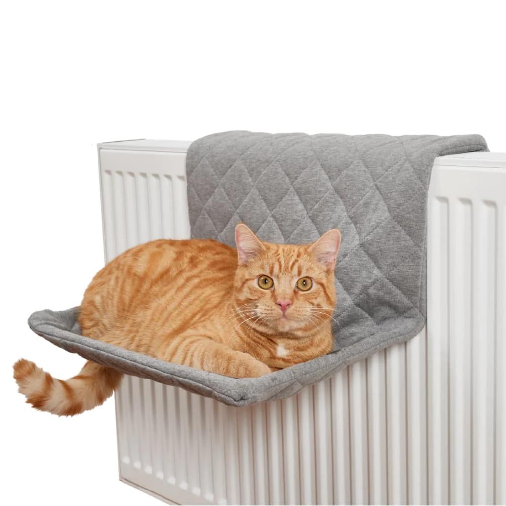 5 besondere Weihnachtsgeschenke für die Katze, die alles hat
