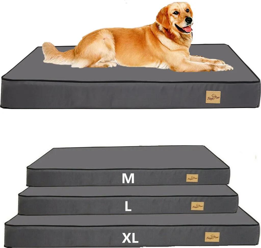 Die besten Black-Friday-Rabatte – von Hunden gestaltet