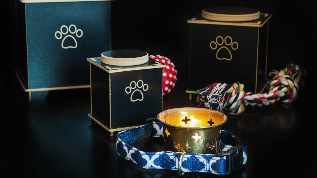 Kaarsen en bloemen bij een huisdieraltaar tijdens Pet Ofrenda