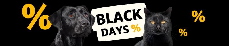 Die besten Black-Friday-Rabatte – von Hunden gestaltet