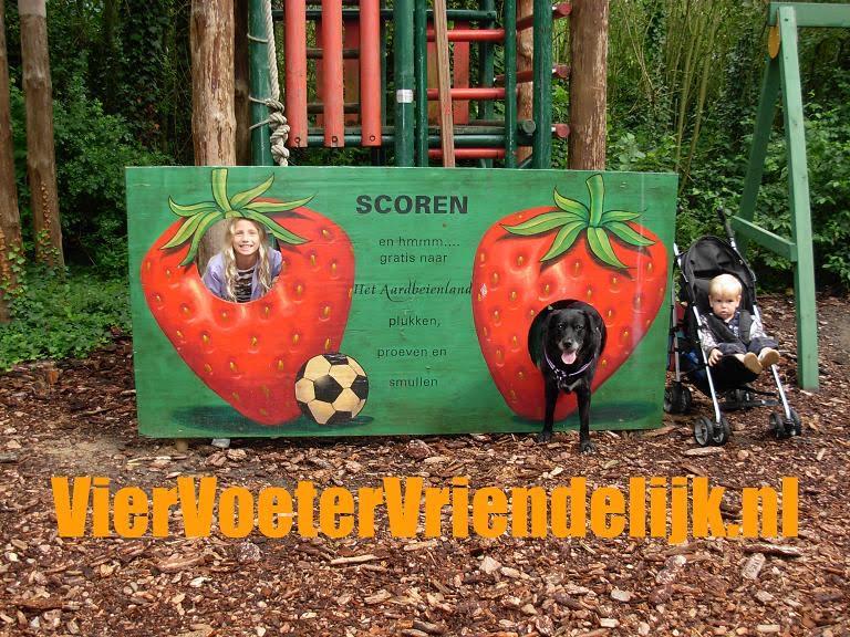 Niets te doen dit weekend? Kijk eens op Viervoetervriendelijk