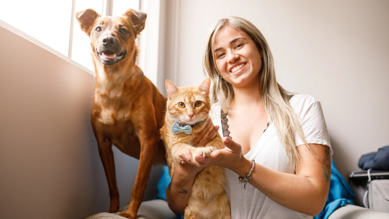 Last minute vakantie? Regel een oppas voor je hond of kat met Petbnb