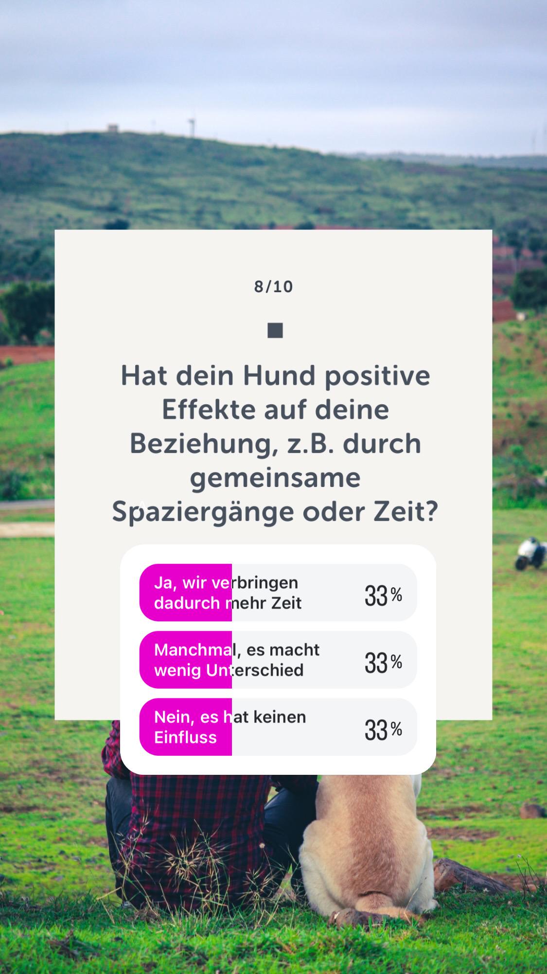 Wie Hunde unsere Partnerschaften beeinflussen