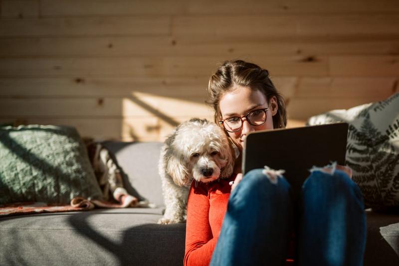 5 tips voor effectief thuiswerken met een hond