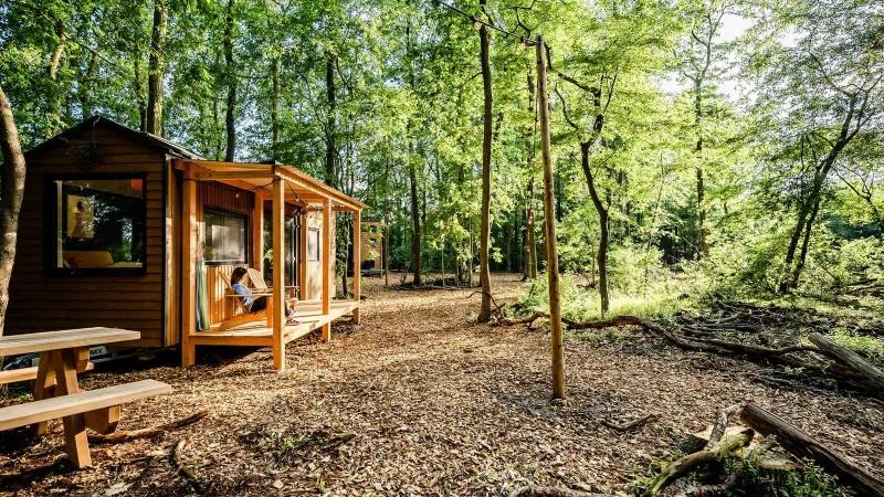 Tiny house met hond in het groen