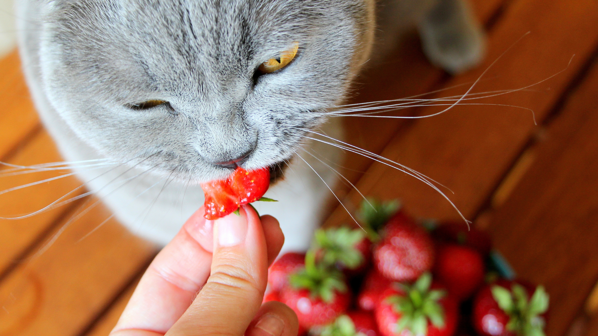 In stukjes gesneden aardbeien zonder kroontje