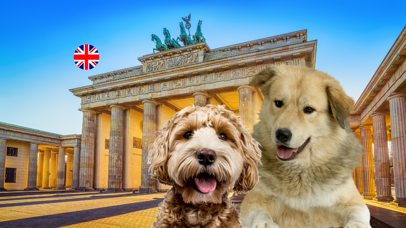 The Berlin Guide for You and Your Dog