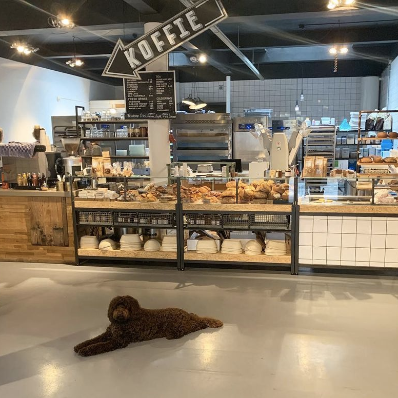 Hondvriendelijk terras bij café in Rotterdam