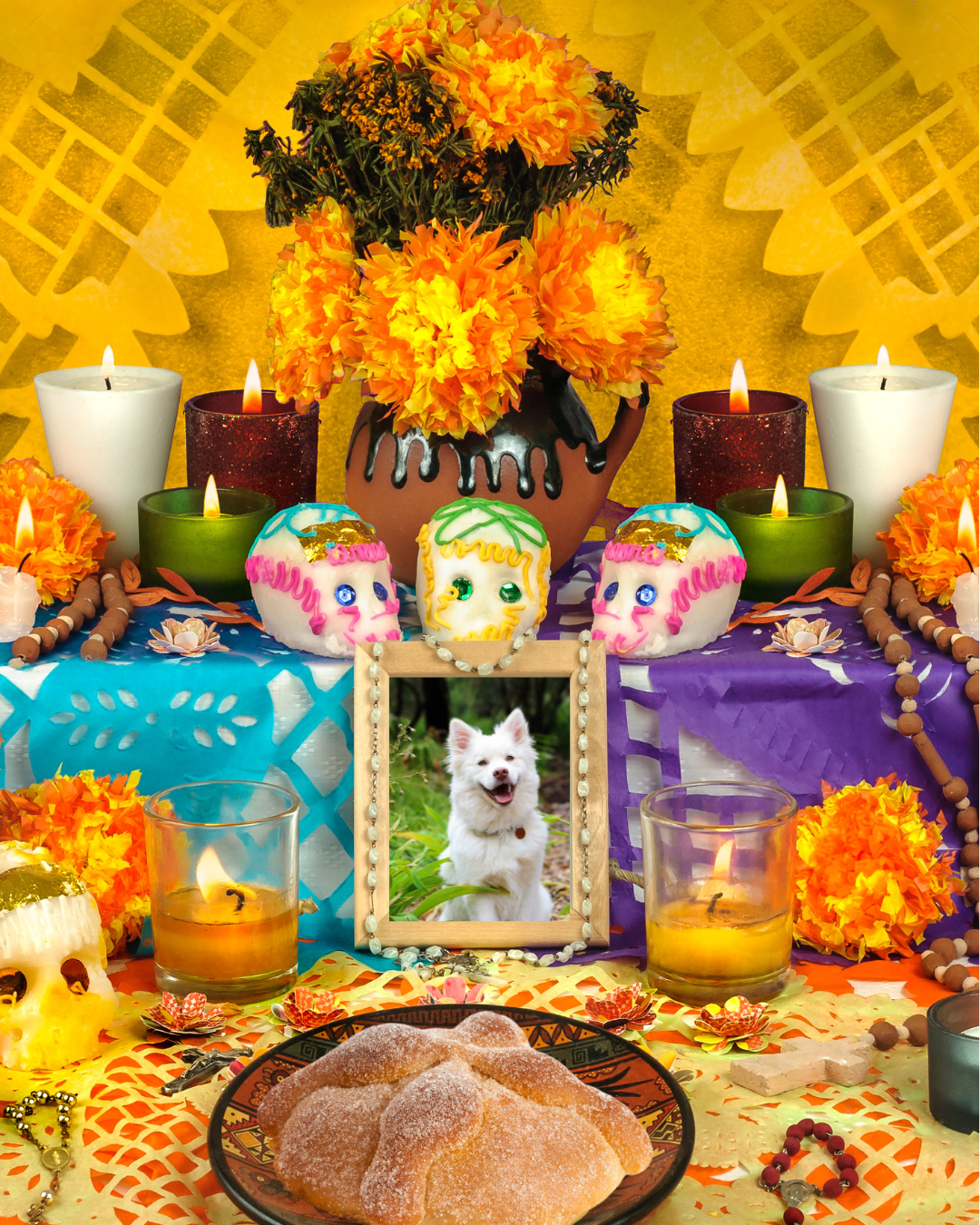 Altaar tijdens de Pet Ofrenda met bloemen en foto's van huisdieren