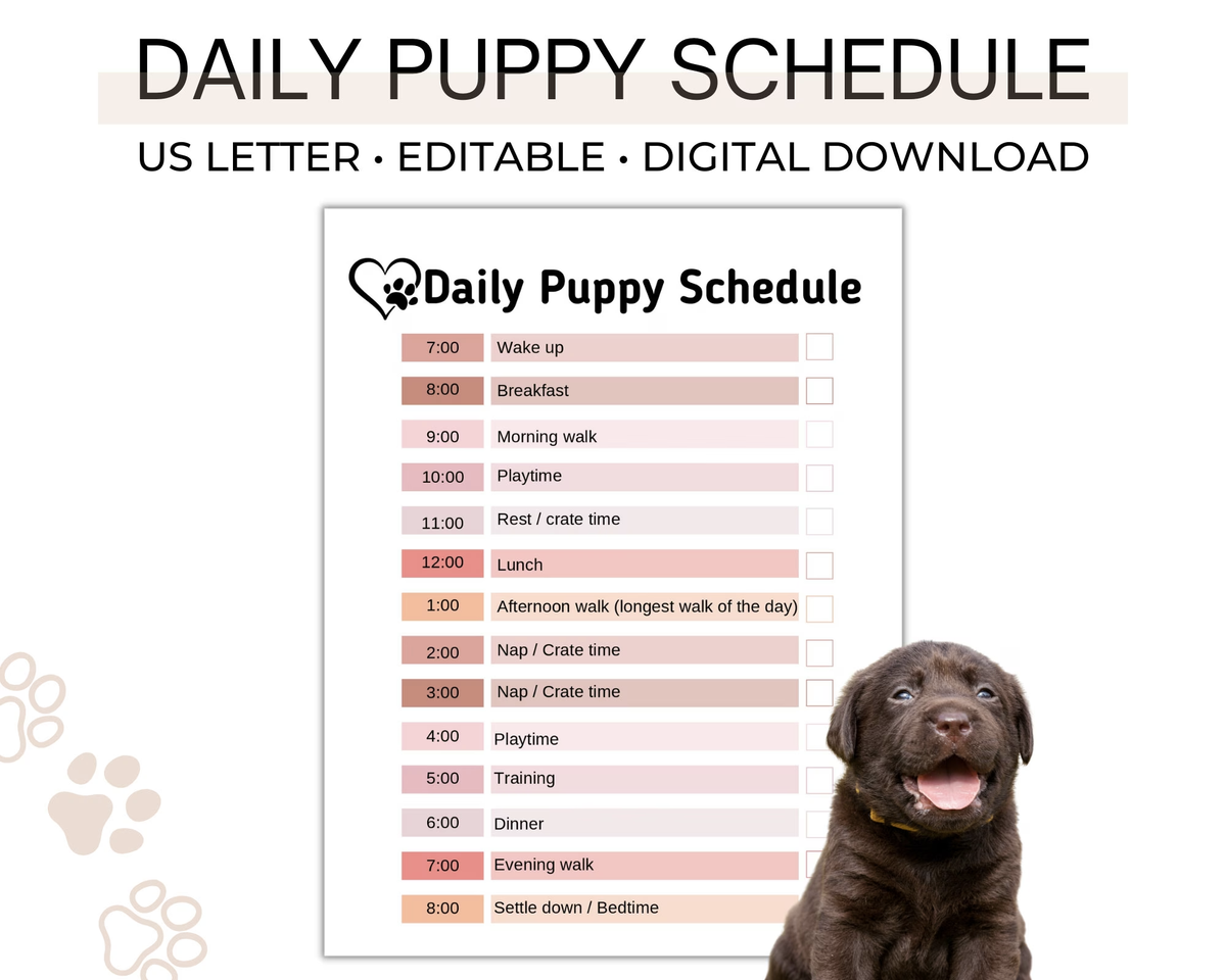 Puppy training schema
