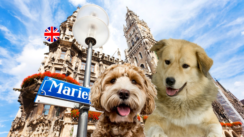 The Munich Guide for You and Your Dog