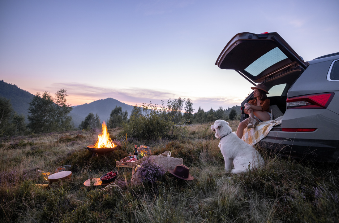 Op vakantie met je hond: tips en bestemmingen
