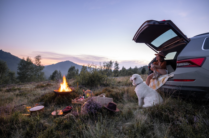 Op vakantie met je hond: tips en bestemmingen