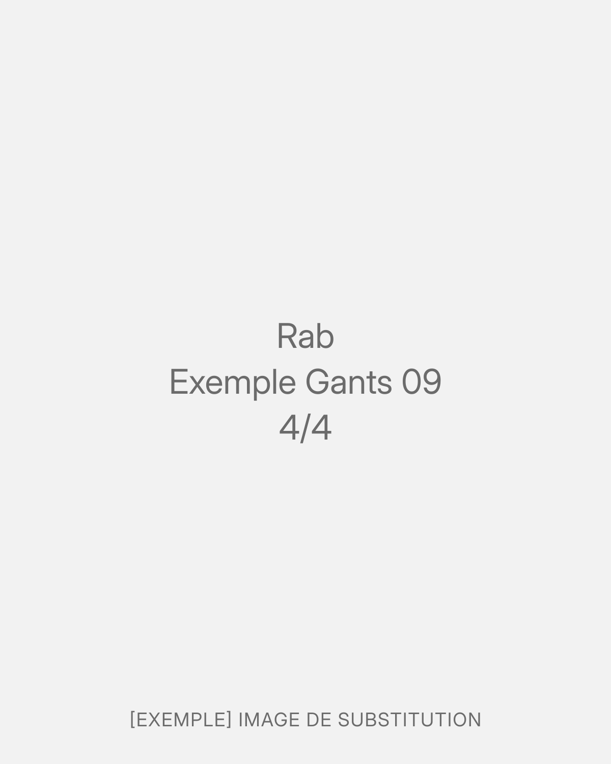 Rab Exemple Gants 09 (4/4)
