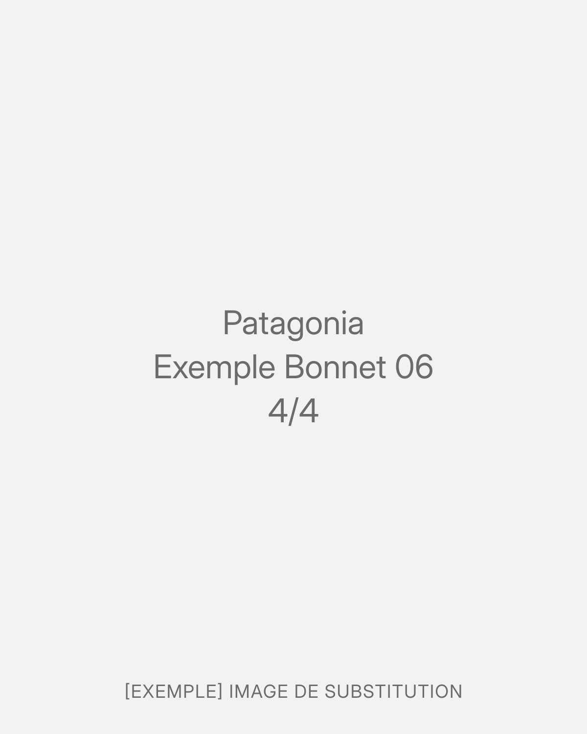 Patagonia Exemple Bonnet 06 (4/4)