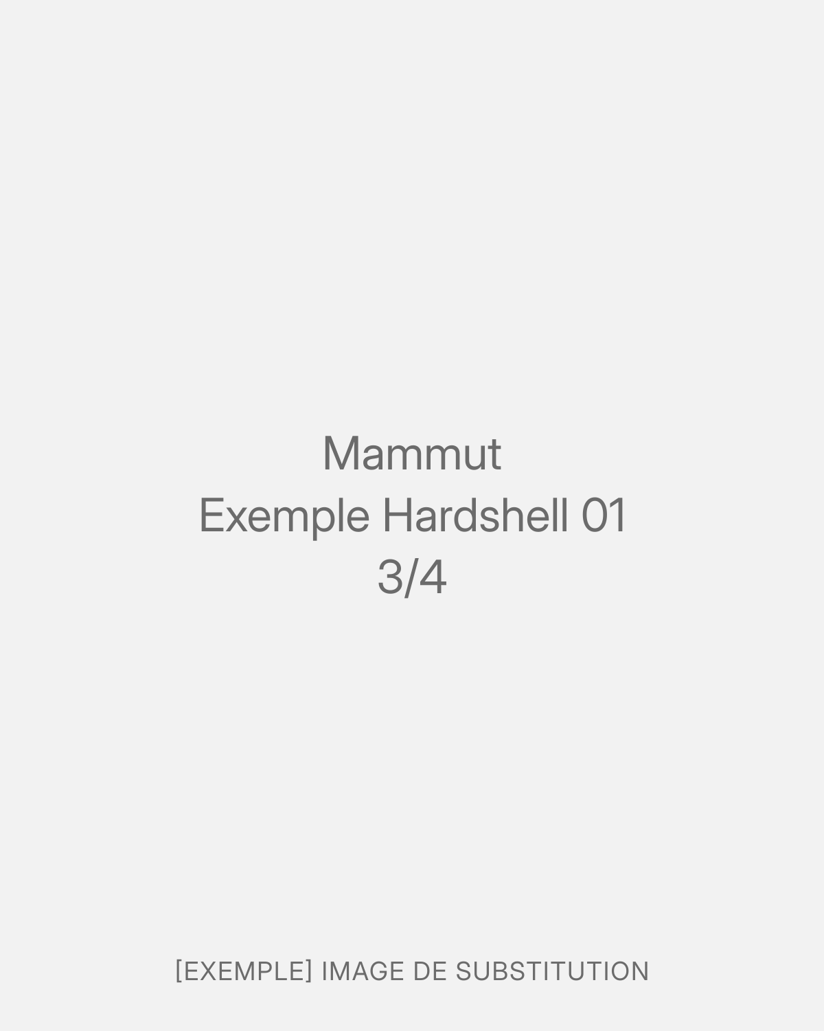 Mammut Exemple Hardshell 01 (4/4)