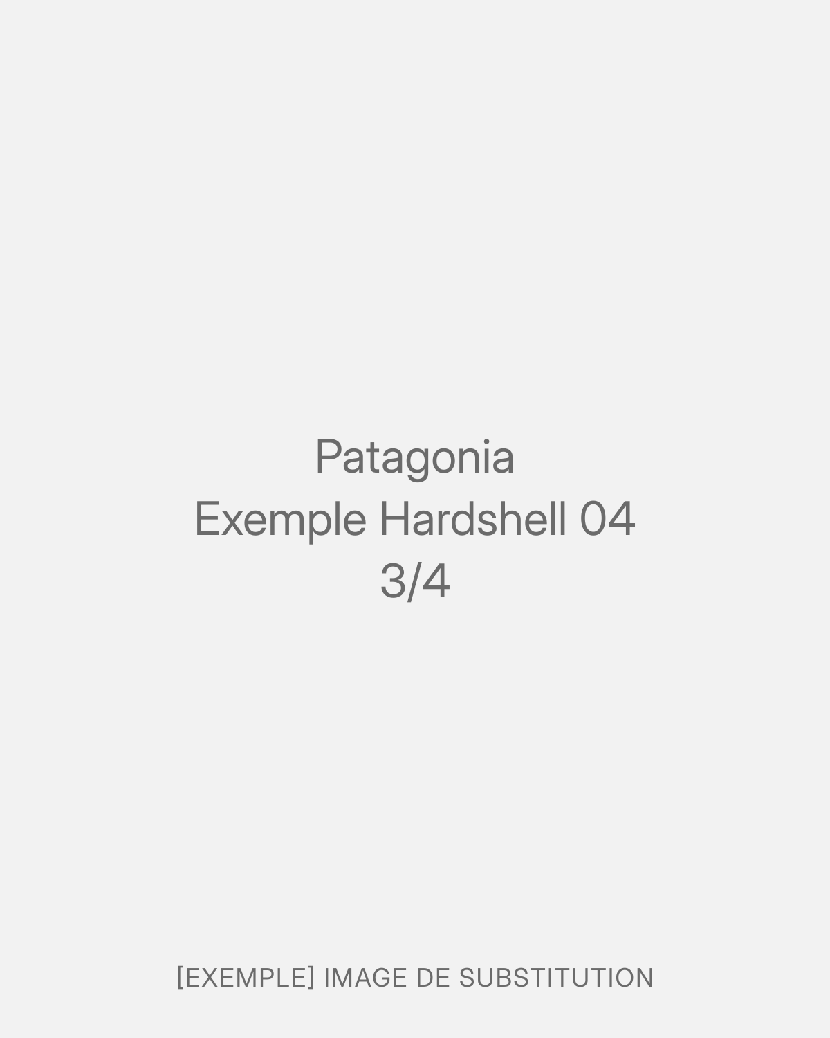 Patagonia Exemple Hardshell 04 (3/4)