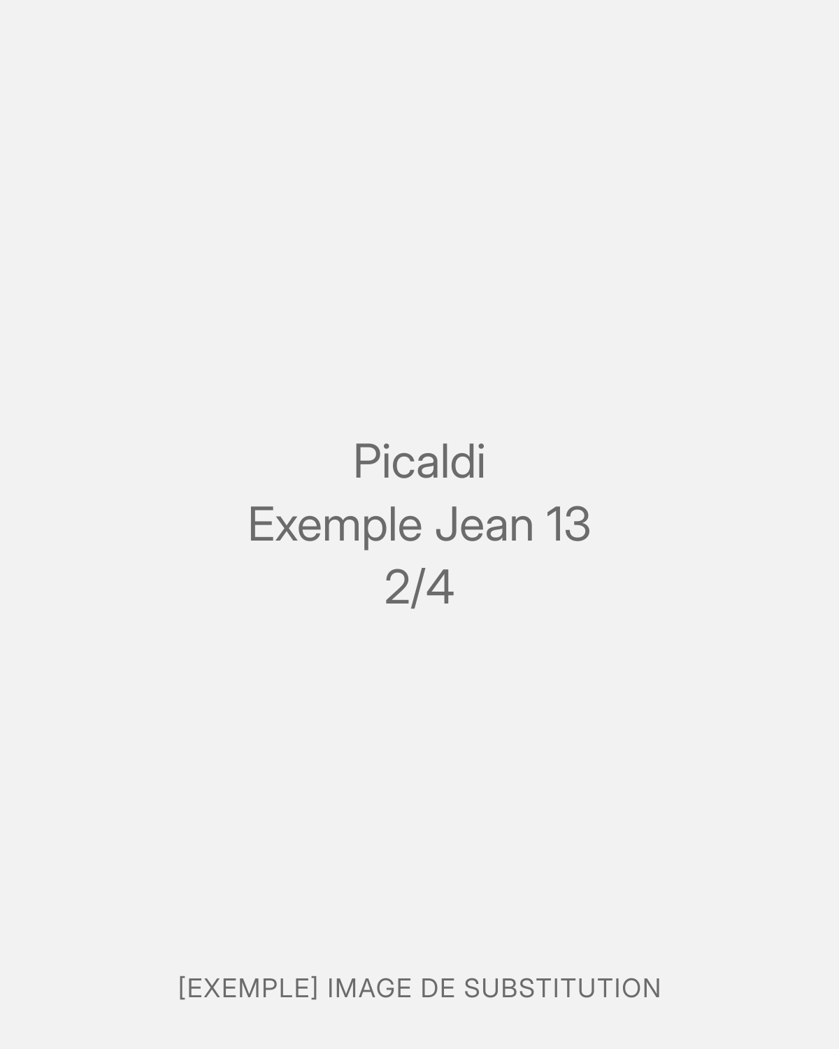Picaldi Exemple Jean 13 (2/4)