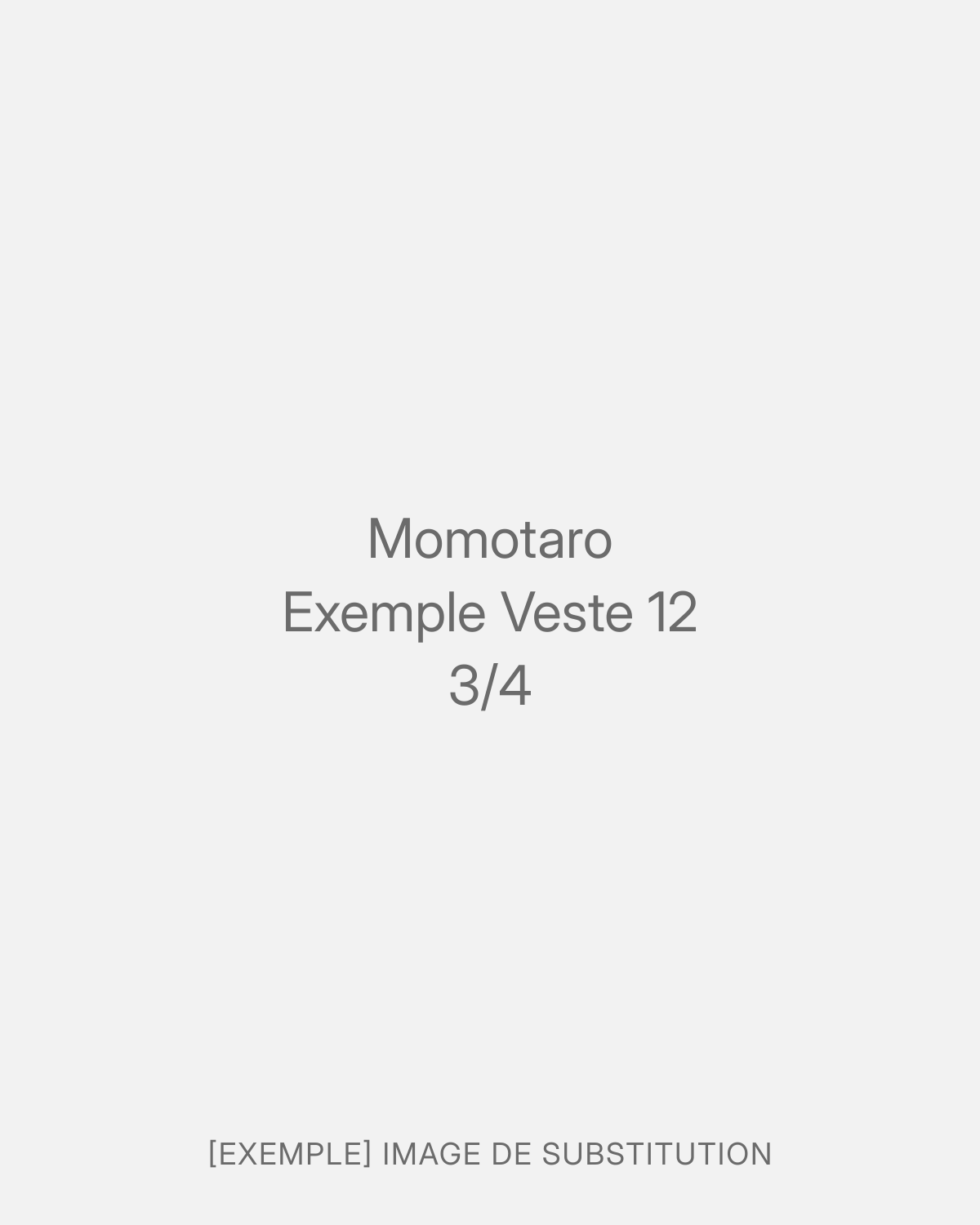 Momotaro Exemple Veste 12 (3/4)