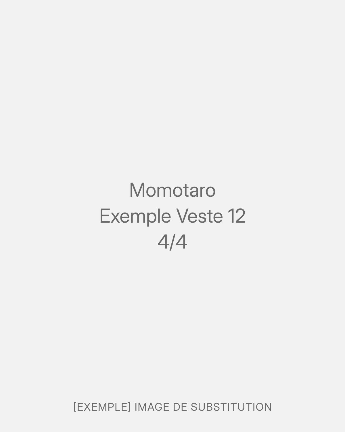 Momotaro Exemple Veste 12 (4/4)