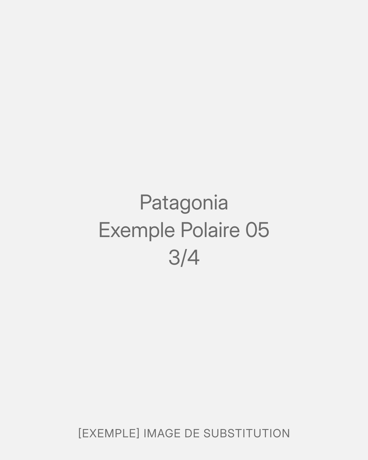 Patagonia Exemple Polaire 05 (3/4)