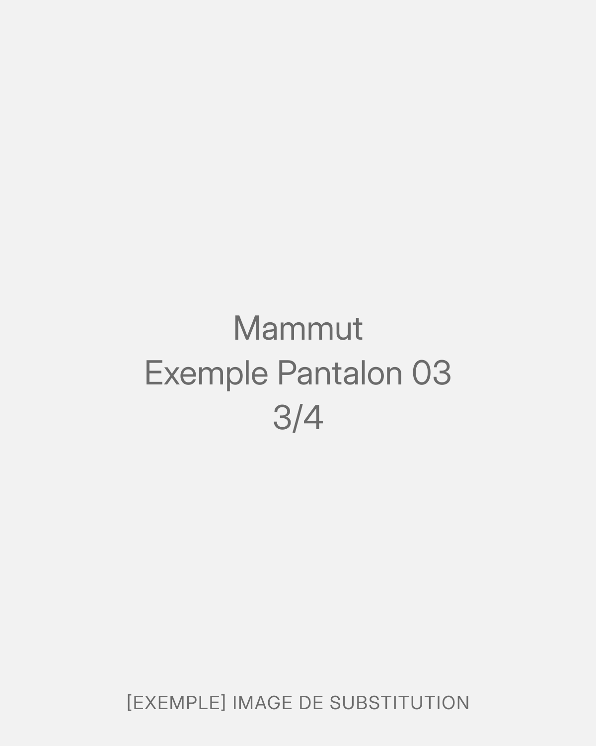 Mammut Exemple Pantalon 03 (3/4)