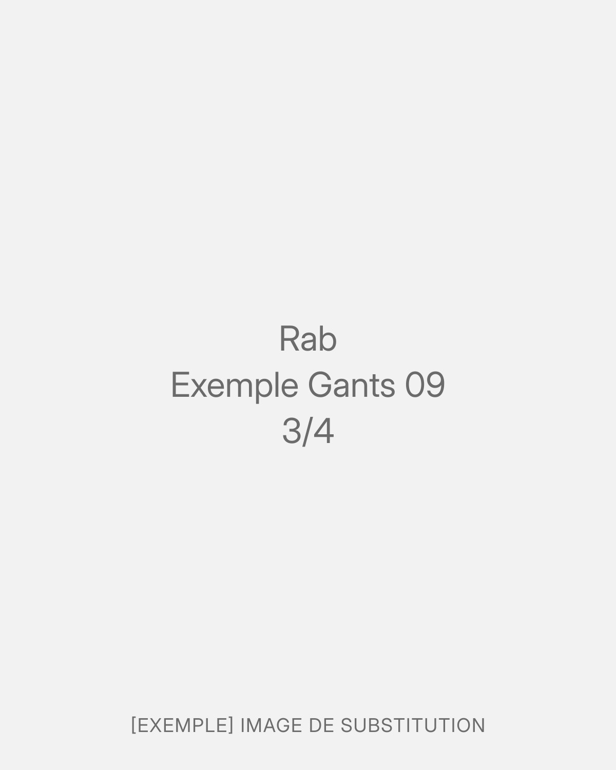 Rab Exemple Gants 09 (3/4)