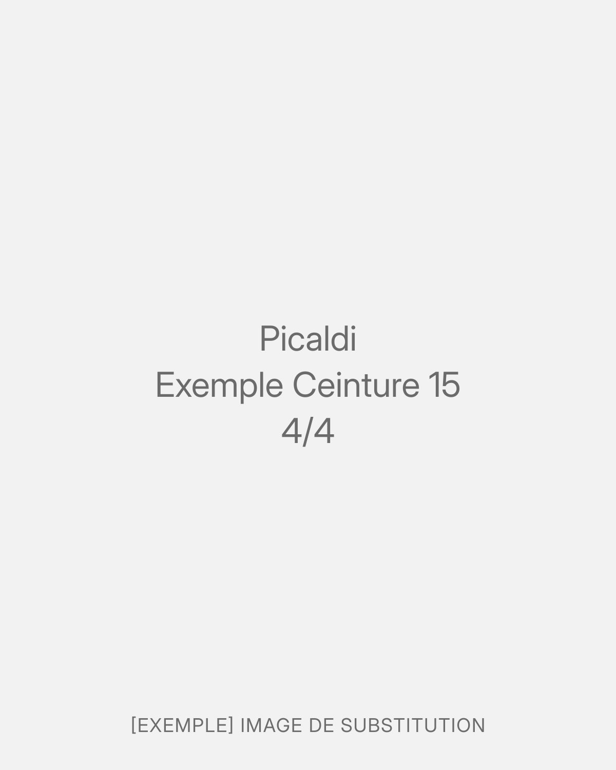 Picaldi Exemple Ceinture 15 (4/4)