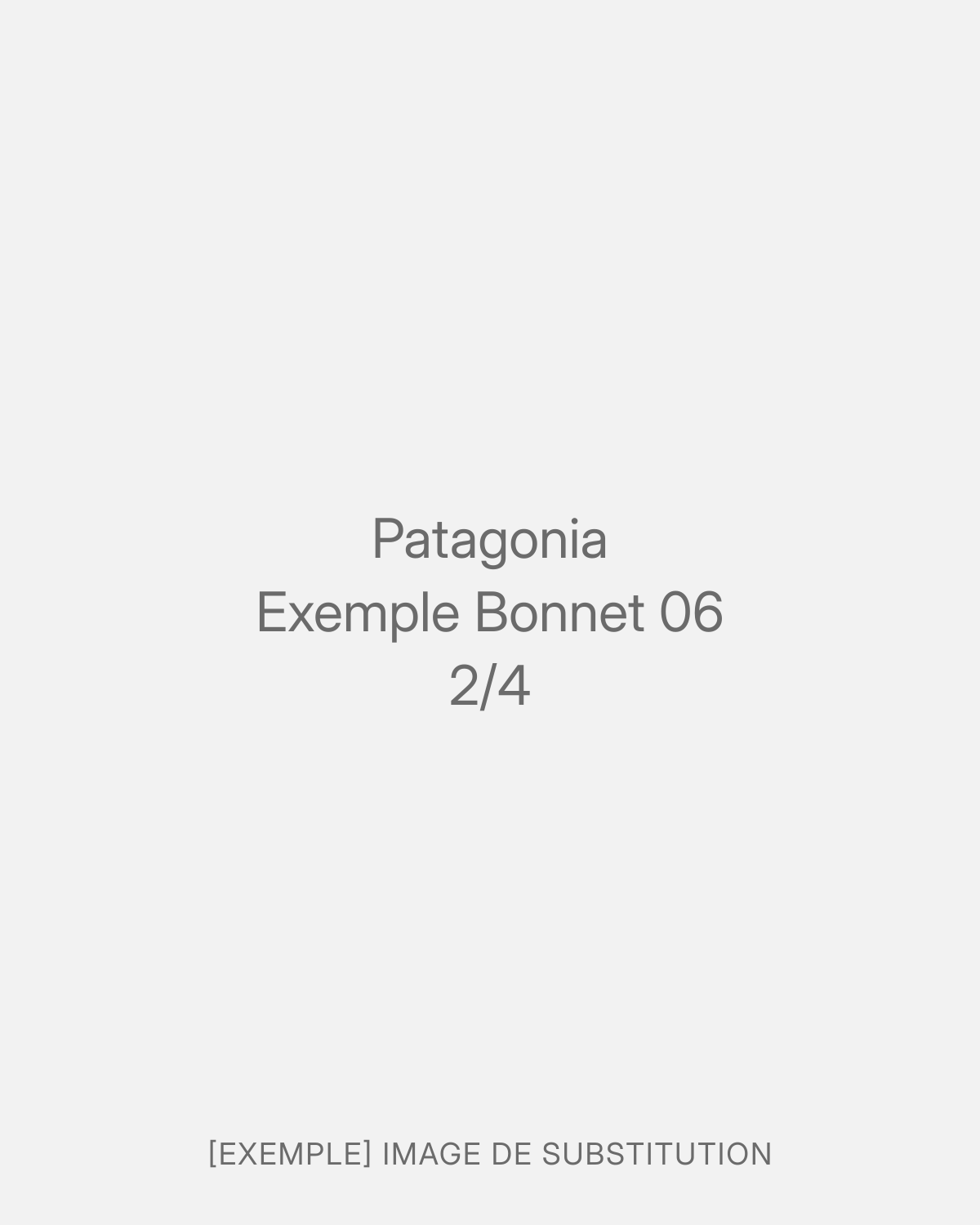 Patagonia Exemple Bonnet 06 (2/4)