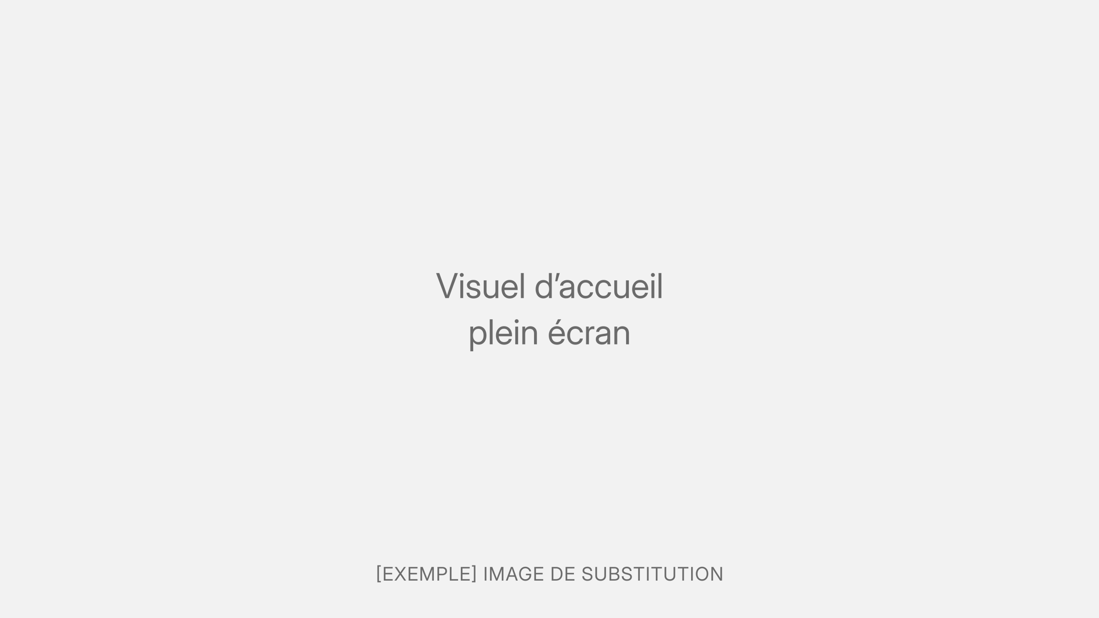 Image de substitution du visuel d’accueil